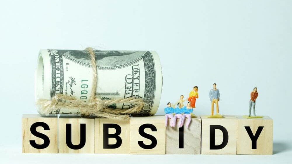 Subsidi: Definisi, Jenis, Contoh, dan Kelebihan serta Kekurangannya