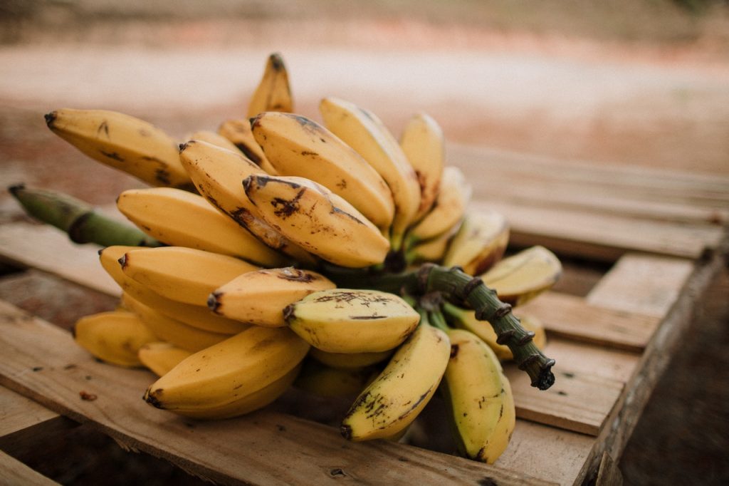 cara memulai bisnis keripik pisang