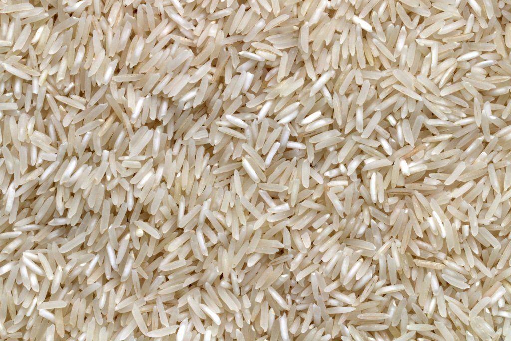 daftar harga beras hari ini