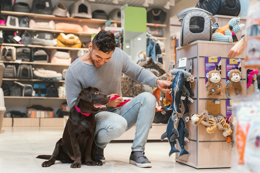 Peluang Bisnis Pet Shop, Begini Cara Memulainya