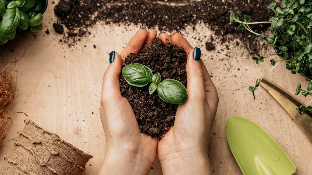 7 Cara Memulai Bisnis Pupuk Organik, Untung dan Sustainable