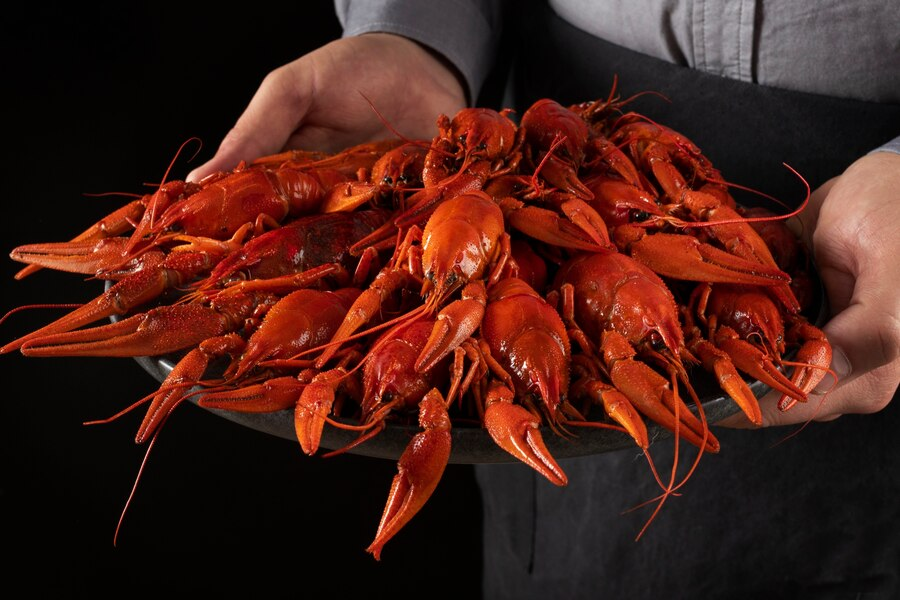bisnis lobster